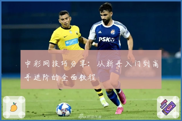 中彩网技巧分享：从新手入门到高手进阶的全面教程