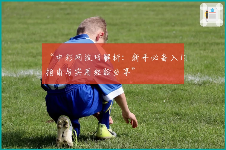 “中彩网技巧解析：新手必备入门指南与实用经验分享”