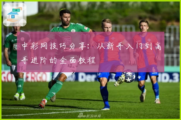 中彩网技巧分享：从新手入门到高手进阶的全面教程