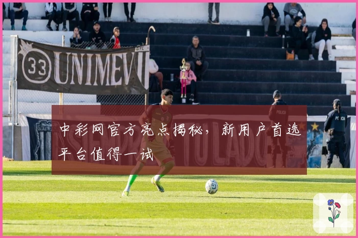 中彩网官方亮点揭秘，新用户首选平台值得一试