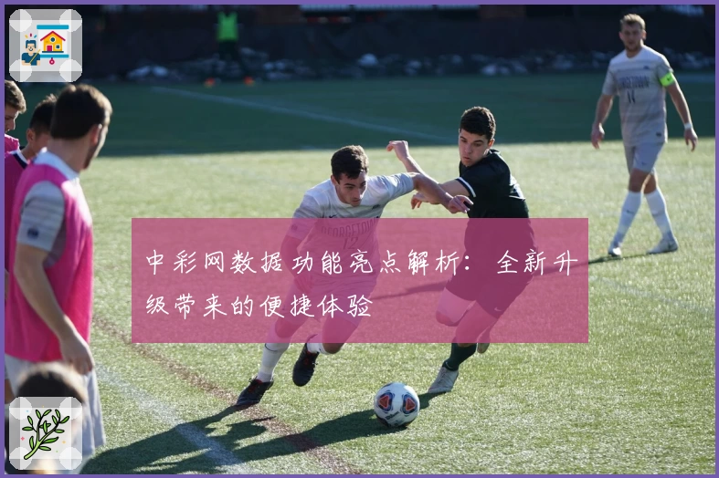 中彩网数据功能亮点解析:全新升级带来的便捷体验